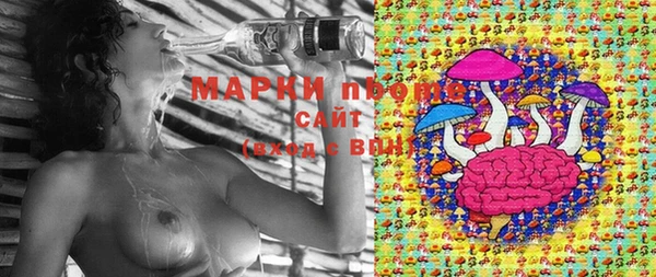 PSILOCYBIN Белоозёрский