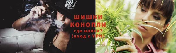гидра Белокуриха