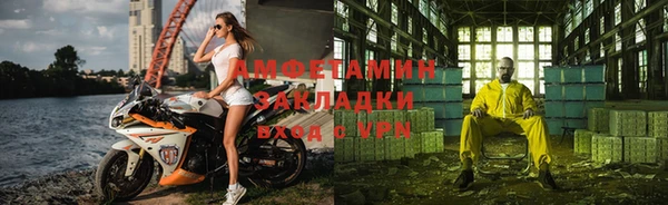 гидра Белокуриха