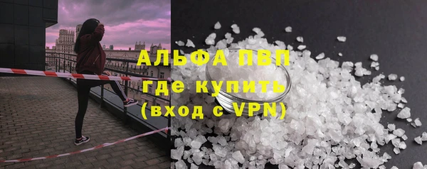 гидра Белокуриха
