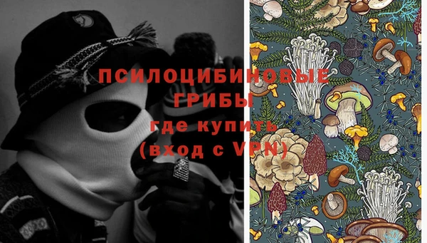 PSILOCYBIN Белоозёрский